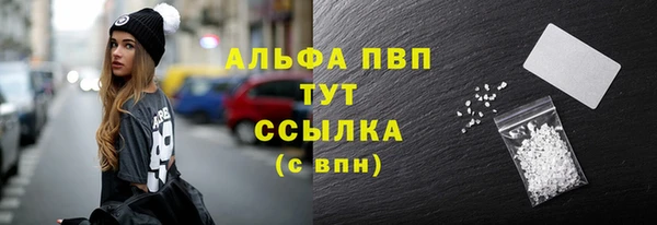 СК Магас