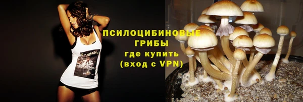 ешки Майский