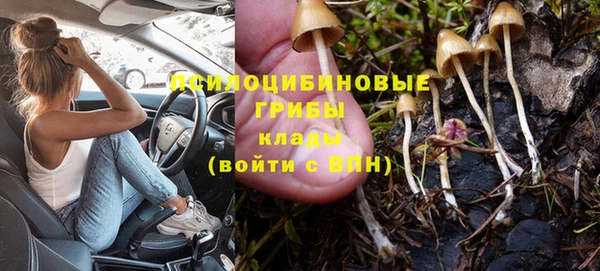 тгк Магадан