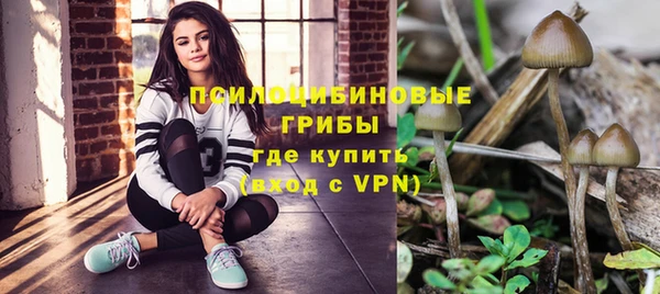 тгк Магадан