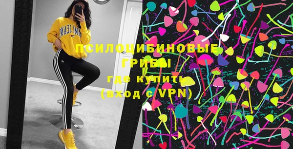 бошки Медвежьегорск
