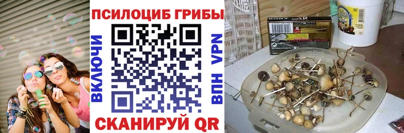 Псилоцибиновые грибы мухоморы где можно купить Нижняя Тура