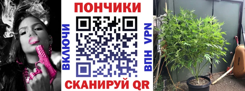 где продают   Нижняя Тура  МАРИХУАНА LSD WEED 